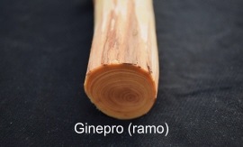 penblank ginepro ramo